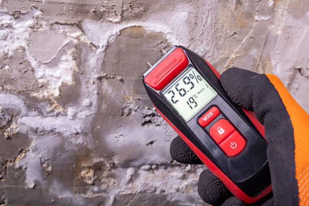 Best Crawl Space Mold Removal  in Farmer City, IL