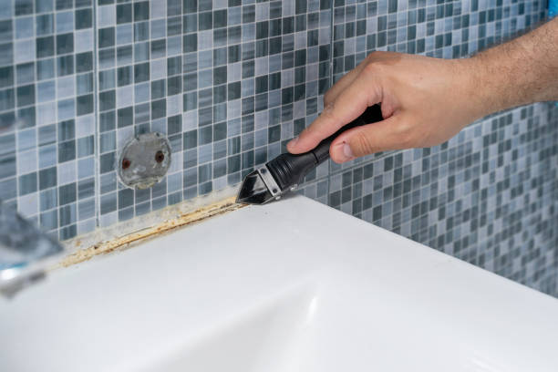 Mold Removal and Inspection in Farmer City, IL