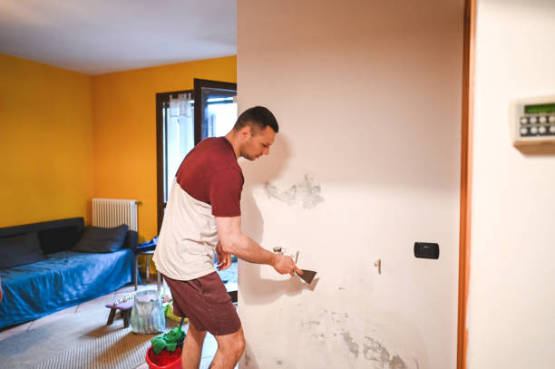 Best Home Mold Removal  in Farmer City, IL