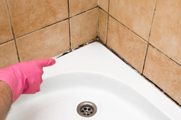 Best Certified Mold Removal  in Farmer City, IL